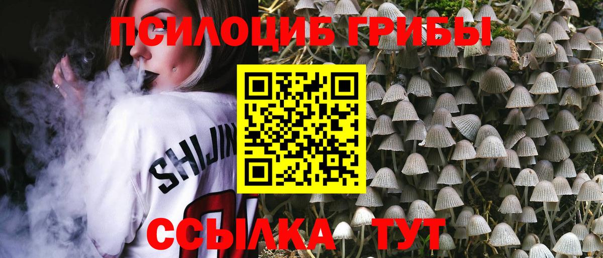 Галлюциногенные грибы Magic Shrooms  Вход с VPN  магазин    Псилоцибиновые грибы Psilocybe  Советский 