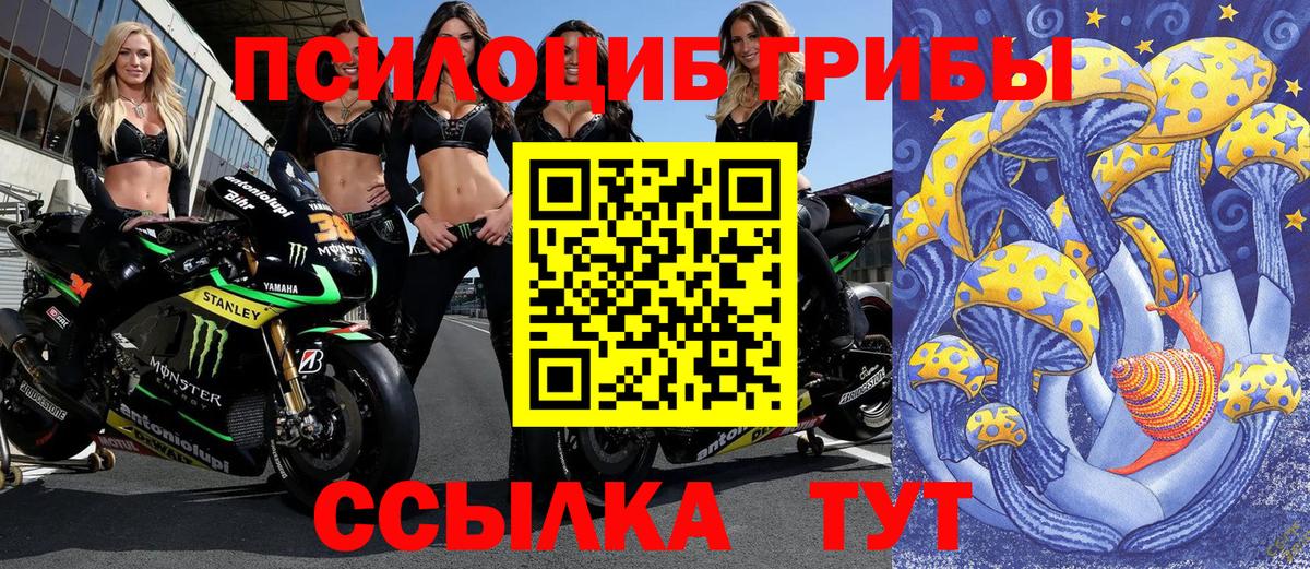 Галлюциногенные грибы мухоморы Советский