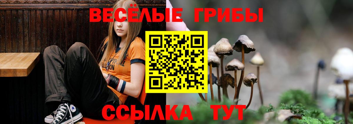 Галлюциногенные грибы Cubensis  Советский 