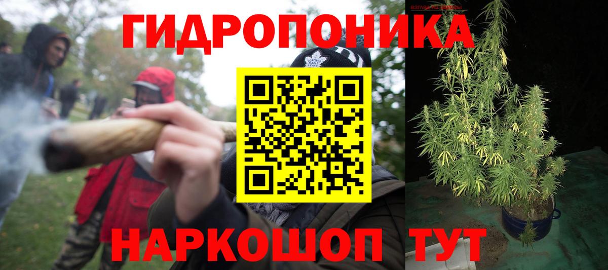 Бошки марихуана сатива Советский